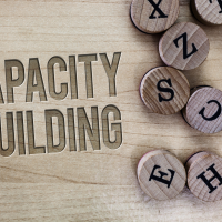 capacity - fundsforNGOs