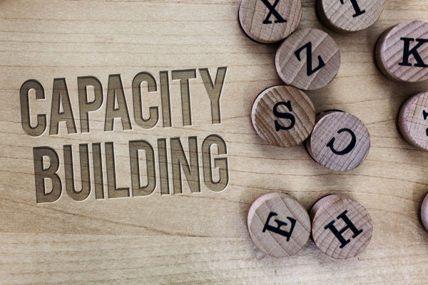 capacity - fundsforNGOs
