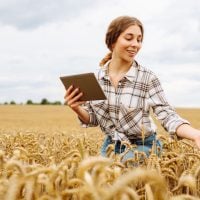 Young woman in a plaid shirt holds a tablet while standing in a golden wheat field, smiling.