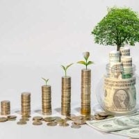 Investments grow over time: coins stacked taller with small plants, a tree on a jar of money symbolizing financial growth.
