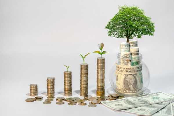 Financial Wellbeing - fundsforNGOs Investments grow over time: coins stacked taller with small plants, a tree on a jar of money symbolizing financial growth.