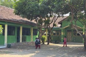 School courtyard with lime-green buildings, a large tree in the center, and several children walking around the yard.