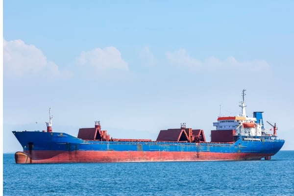 Marine Conservation 24 - fundsforNGOs Blue cargo ship with red hull sections sailing on calm blue sea under a clear sky.