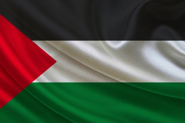 Marine Conservation 55 - fundsforNGOs Palestinian national flag waving: black, white, and green horizontal stripes with a red triangle at the hoist.