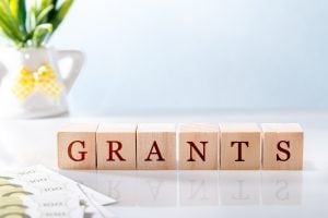 Wooden letter blocks spell GRANTS with euro banknotes in the foreground and a plant in the background on a bright desk.
