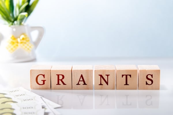 Marine Conservation 60 - fundsforNGOs Wooden letter blocks spell GRANTS with euro banknotes in the foreground and a plant in the background on a bright desk.