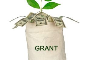 Bag labeled GRANT with cash sticking out and a green plant sprouting, symbolizing seed funding for a grant