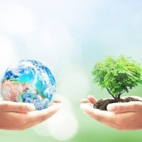 Two hands hold a globe on the left and a young sapling in soil on the right, symbolizing environmental care and sustainability.