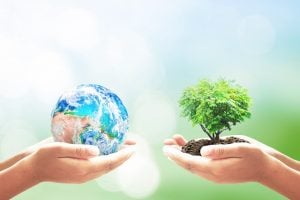 Two hands hold a globe on the left and a young sapling in soil on the right, symbolizing environmental care and sustainability.