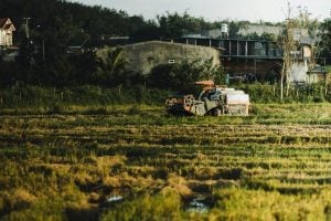 A combine harvester works across a grassy, waterlogged field with a building and trees in the background.