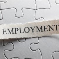 employement - fundsforNGOs Torn label reading EMPLOYMENT placed on a gray jigsaw puzzle surface