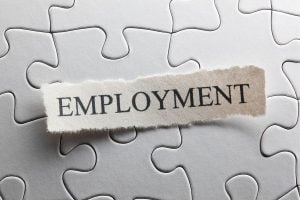Torn label reading EMPLOYMENT placed on a gray jigsaw puzzle surface