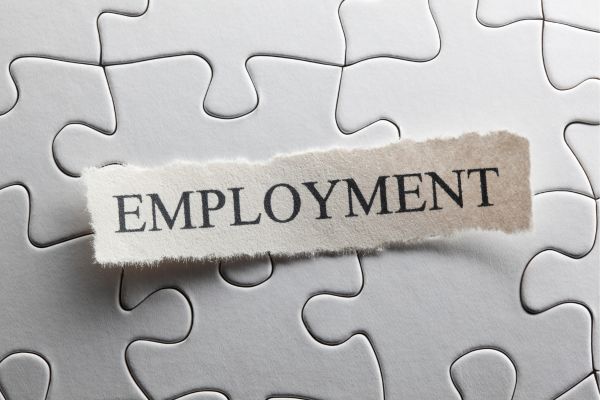 Torn label reading EMPLOYMENT placed on a gray jigsaw puzzle surface