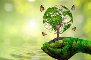 Green gloved hand cradling a circular tree globe with butterflies fluttering around, symbolizing environmental conservation and care for nature.