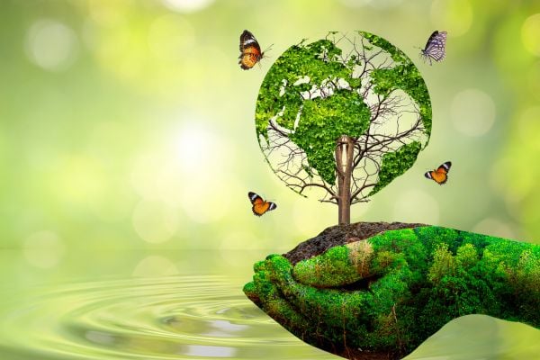 fundsforNGOs - 2026-06-01T142344993 - fundsforNGOs Green gloved hand cradling a circular tree globe with butterflies fluttering around, symbolizing environmental conservation and care for nature.
