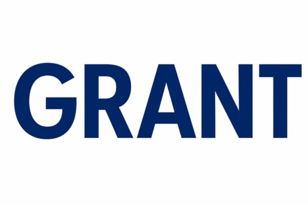 fundsforNGOs - 2026-06-01T152423131 - fundsforNGOs Bold blue wordmark displaying the word GRANT on a white background.