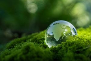 Glass globe with a map of the world resting on bright green moss in a lush forest setting, symbolizing environmental care and sustainability.