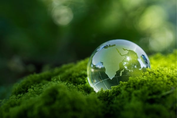 fundsforNGOs - 2026-06-02T132904118 - fundsforNGOs Glass globe with a map of the world resting on bright green moss in a lush forest setting, symbolizing environmental care and sustainability.
