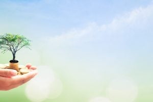 Hand holding a small tree growing on a stack of coins, symbolizing sustainable investment