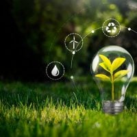 sustainable development - fundsforNGOs Plant growing inside a glass light bulb on green grass, surrounded by eco icons (wind, water, recycling, plug) symbolizing sustainable energy.