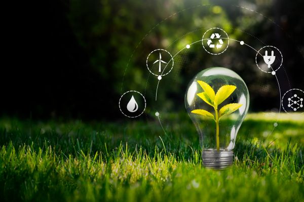 sustainable development - fundsforNGOs Plant growing inside a glass light bulb on green grass, surrounded by eco icons (wind, water, recycling, plug) symbolizing sustainable energy.