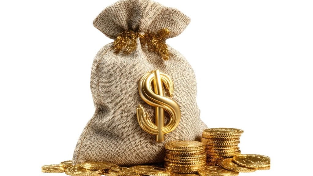 education and sports for children - fundsforNGOs Gold money bag with a large dollar sign and stacked coins, symbolizing wealth or riches