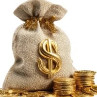 education and sports for children - fundsforNGOs Gold money bag with a large dollar sign and stacked coins, symbolizing wealth or riches